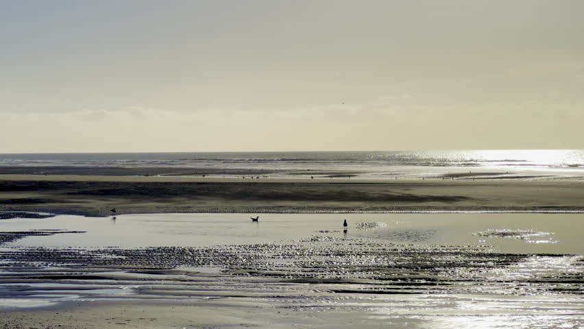 Golden sunset over Authie Bay, France at low tide with reflective tidal pools, wet sand textures and distant silhouettes, calm minimalist seascape under hazy sky