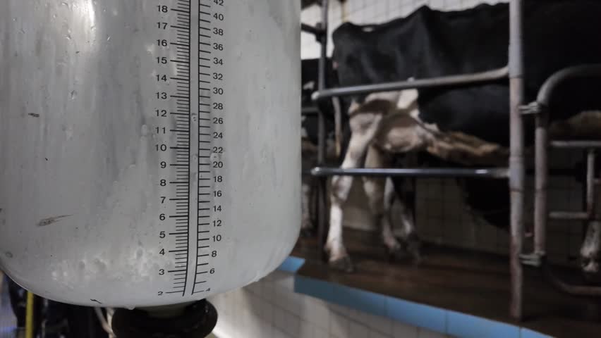Milk flows into transparent container marked in liters in slow motion