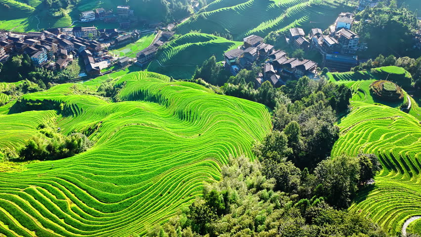 Aerial shot of the spectacular Longji Terraced Fields and village landscape in Guilin, China. Beautiful agricultural and nature background.