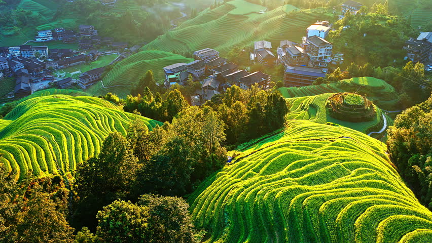 Aerial shot of the spectacular Longji Terraced Fields and village landscape at sunrise in Guilin, China. Beautiful agricultural and nature background.