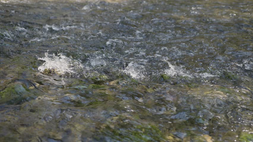Sunny stream close up shot, selective focus used.