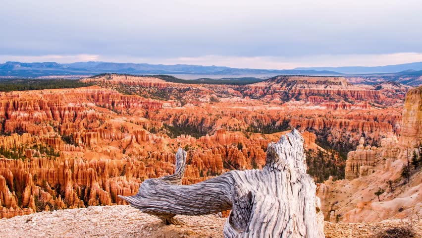 4K video of Bryce Canyon National Park in southern Utah, featuring natural rock formations known as hoodoos. Tall stone columns rise from large natural amphitheaters, shaped over time by erosion and weathering. The layered rock displays shades of red, orange, and white, highlighting the unique geology of the area. This footage shows a wide view of the desert landscape and geological features of a North American national park.