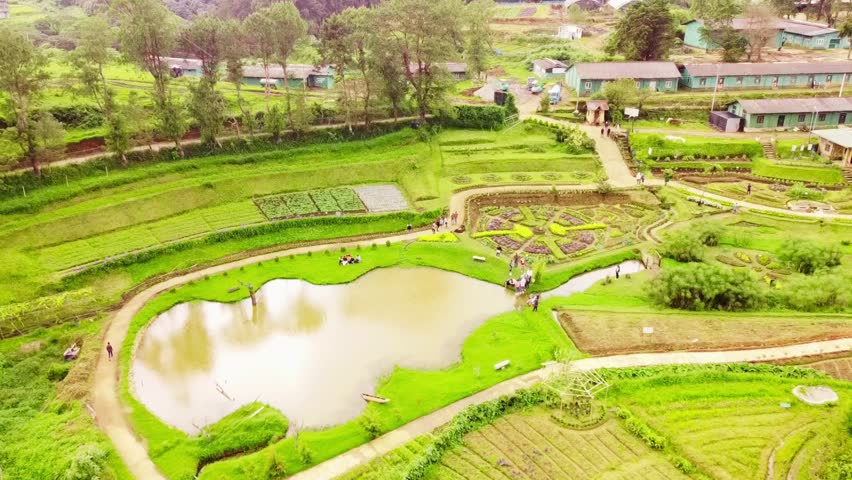 Drone footage capturing serene nature in Sri Lanka, featuring a calm pond surrounded by lush greenery, tropical trees, and scattered rural houses. The aerial view highlights peaceful landscapes, natural water elements, and harmonious countryside scenery.