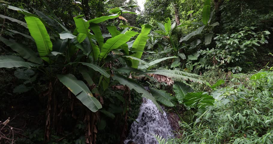 Aerial footage of beautiful tropical forest landscape in hong kong,China. with sound of the waterfall