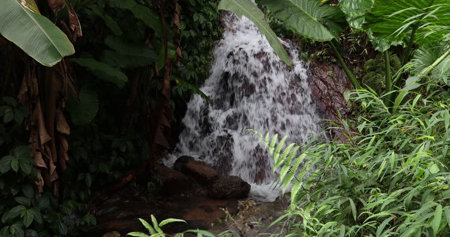 Sound of waterfall in the beautiful tropical forest landscape in hong kong, China