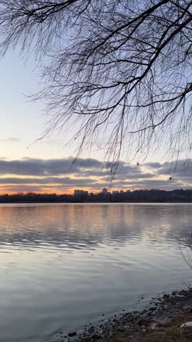 Tree branches silhouetted against vibrant sunset on calm river bank – video