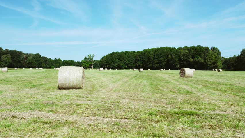 Hay bales in a meadow at the end of summer