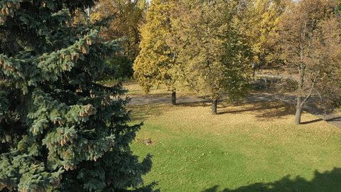 Drone Takeoff Downward Tilt over Park