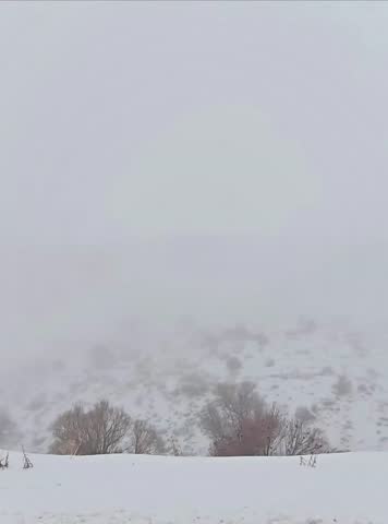 Snowy foggy mountain landscape in winter, vertical video
Vertical video of a quiet winter mountain landscape covered with snow and dense fog, cold weather atmosphere with low visibility, minimal and peaceful nature background
