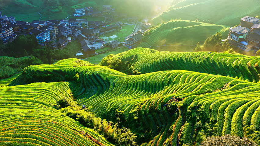 Aerial shot of the spectacular Longji Terraced Fields and village landscape in Guilin, China. Beautiful agricultural and nature background.