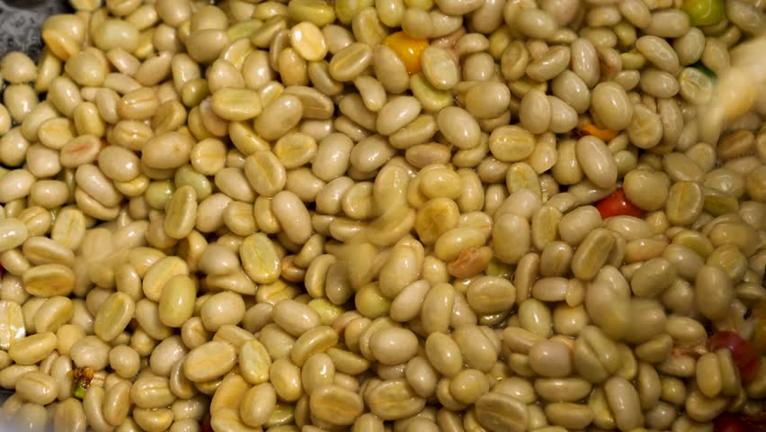 Peeled coffee coming out of a Bean Peeling Machine. Close up