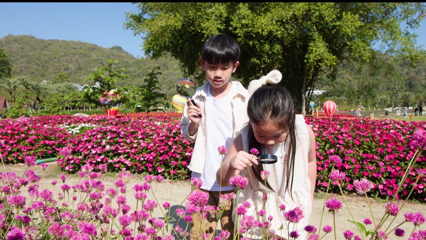 Young boy and girl study pink flowers with magnifying glasses in sunny botanical garden