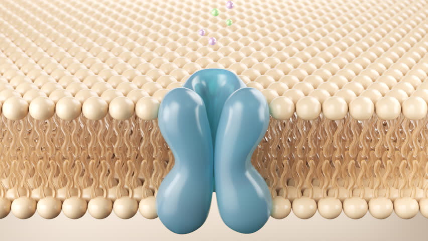 Ion channel in cell membrane structure background 3d animation.