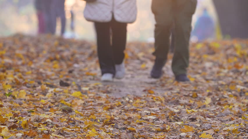 Couple walking together along leaf-covered park path in autumn, low angle view with warm seasonal light.