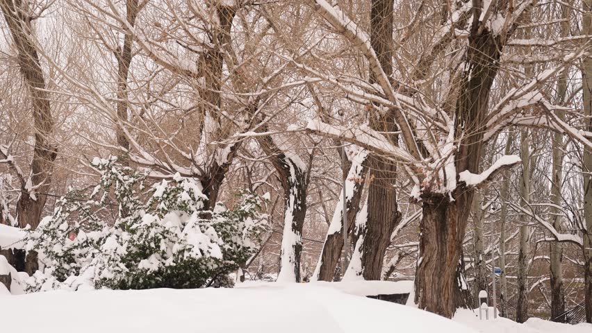 Frozen Majesty: Icy Waterfall and Rushing River in a Snow-Covered Mountain Wilderness