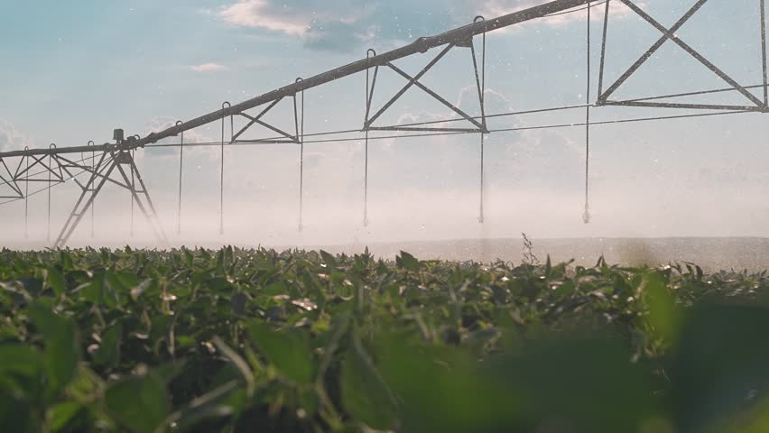 Farming, agriculture, and cultivation rely on irrigation for crops. Farmland gets water from sprinkler systems, enriching soil. Irrigation keeps farmland healthy for agriculture, crops, and farming.