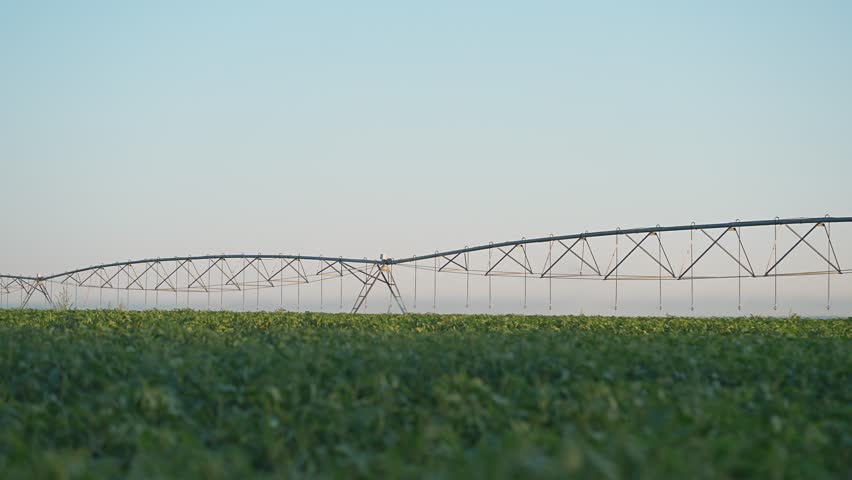 Irrigation system operates in field. Farm pipe releases watering on crop. Agriculture needs daily irrigation. System runs with sprinkler technology. Crop grows. Watering helps green field farm survive