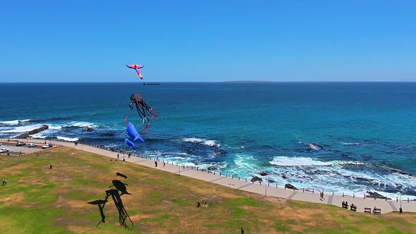 A medium shot timelapse showing animal kites flying, landing, and being packed away on the Atlantic Seaboard of Cape Town, South Africa.