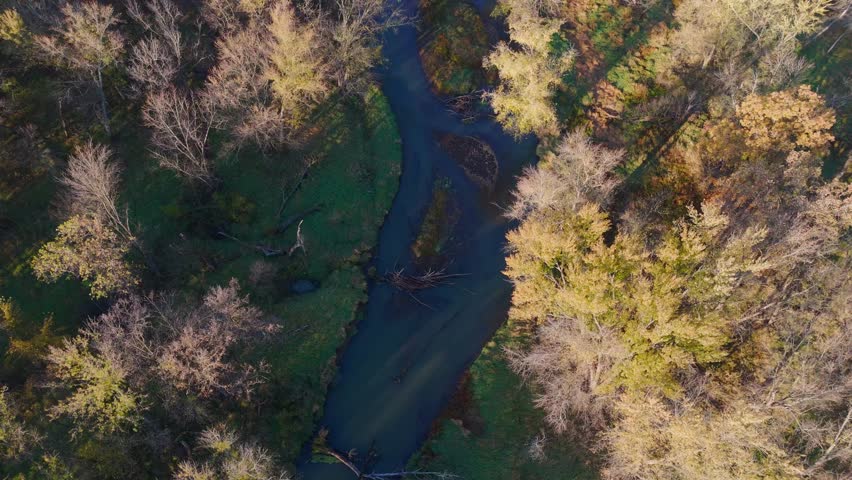 Fall colors glow on tree-covered islands within the Mississippi River wetlands.