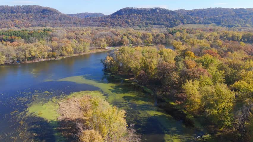 Lush forest island set in wetlands of the Driftless Area.