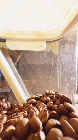 Vertical video. Hand Scooping Coffee Beans with White Spoon Inside Transparent Container in Close Up with Warm Light, Coffee Preparation Concept.