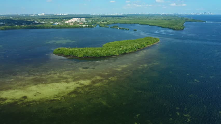 Island covered with dense mangroves sits in shallow coastal waters near a developed urban area. The horizon features city buildings and a mostly clear sky with light clouds.