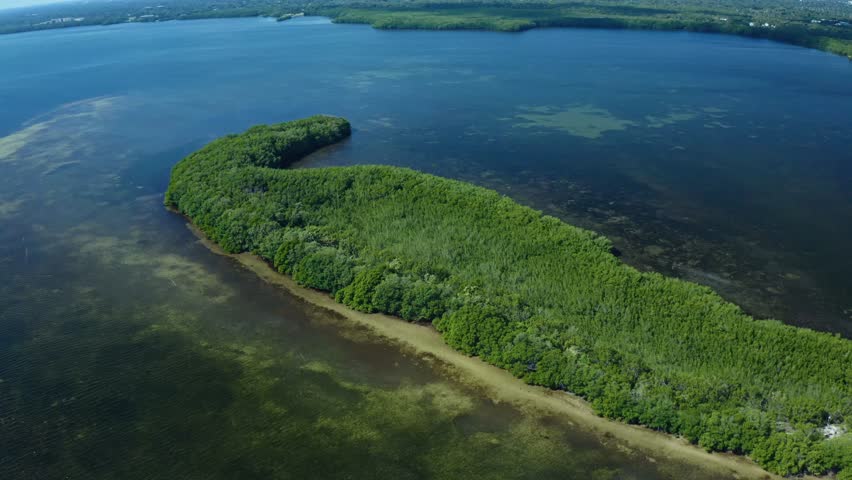 Dense mangrove forest covers a small island bordered by shallow coastal waters with visible underwater vegetation. This scene captures the rich biodiversity and coastal ecosystem balance.