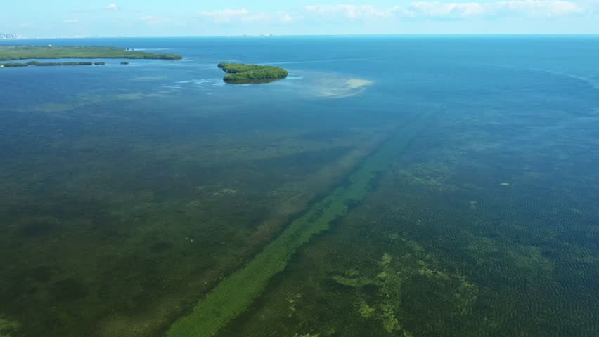 This footage shows an aerial view of coastal wetlands and a small island surrounded by clear shallow waters. The calm sea extends towards the horizon under a partly cloudy sky.