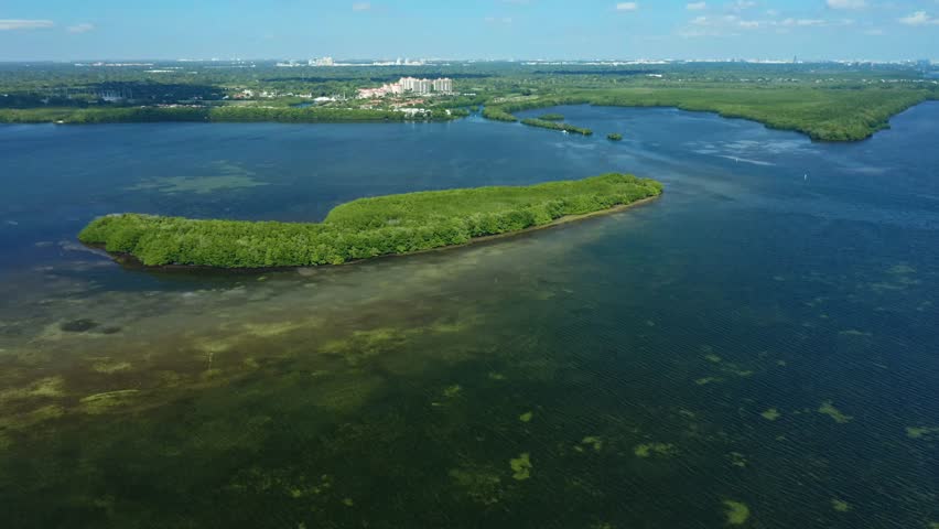 An island covered in dense green vegetation, surrounded by calm, shallow coastal waters with some patches of seaweed and distant urban development on the horizon.