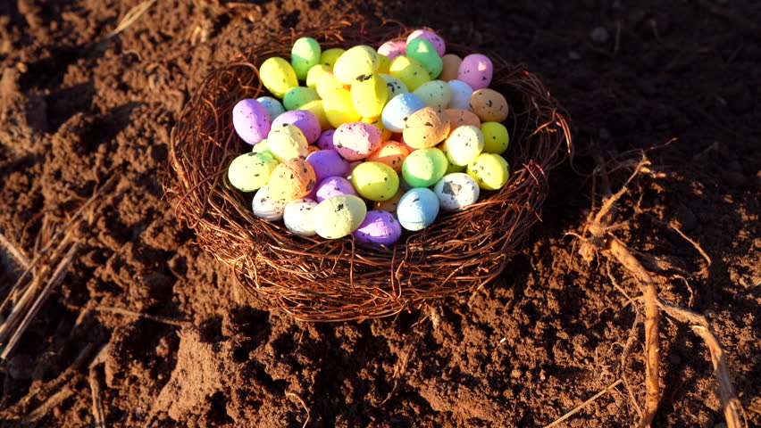 Multi-colored Easter eggs in bird