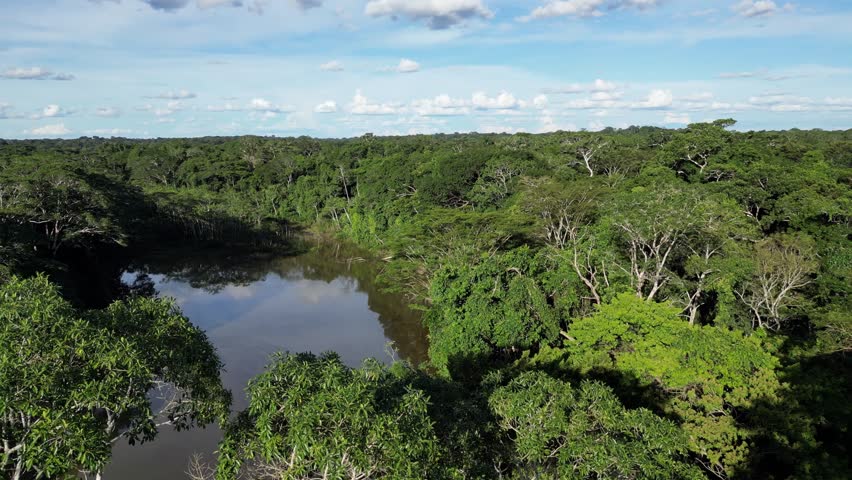 Pristine Amazon River meandering through untouched rainforest, mirror-like water reflecting vibrant green canopy.