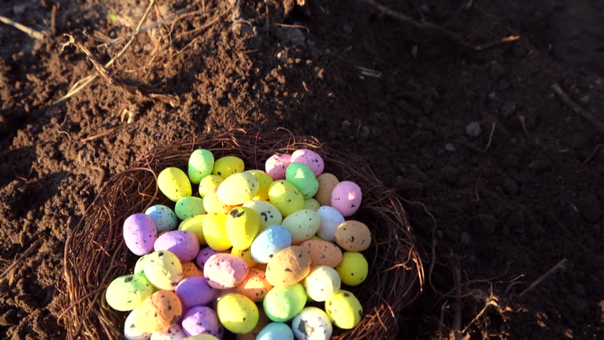 Multi-colored Easter eggs in bird