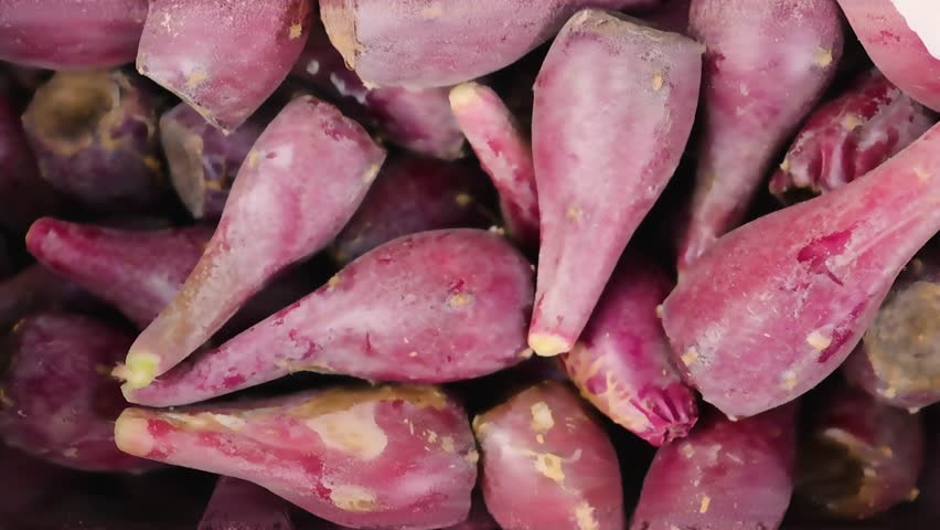 Pile of fresh prickly pear fruits close up