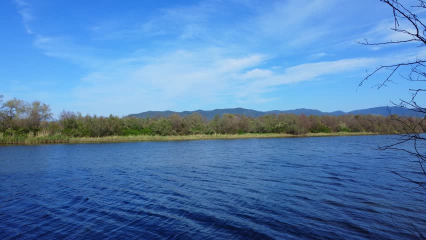 Aerial View of river, Beautiful Aerial View of African Jungles forest and River, Landscape in aerial drone shot. Adove calm tranquil river in Jijel Algeria North Africa, Rivers and green fores trees. river, forest, aerial, water, nature, view, tree, lake, algeria, africa, african, landscape, environment, stream, travel, jungles, background, natural, flow, outdoor, african jungles, mountain, green, beautiful, above, wild, hill, valley, scenic, top, tropical, park, canyon, flowing, plant, simple, blue, sea, sky, wave, grass, wet, waterfall, trees, reflection, clouds, jijel, spring, summer