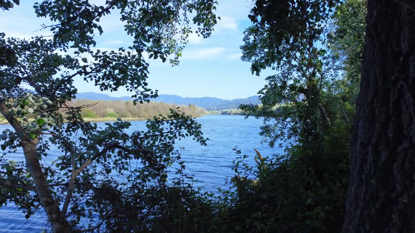 Aerial View of river, Beautiful Aerial View of African Jungles forest and River, Landscape in aerial drone shot. Adove calm tranquil river in Jijel Algeria North Africa, Rivers and green fores trees. river, forest, aerial, water, nature, view, tree, lake, algeria, africa, african, landscape, environment, stream, travel, jungles, background, natural, flow, outdoor, african jungles, mountain, green, beautiful, above, wild, hill, valley, scenic, top, tropical, park, canyon, flowing, plant, simple, blue, sea, sky, wave, grass, wet, waterfall, trees, reflection, clouds, jijel, spring, summer