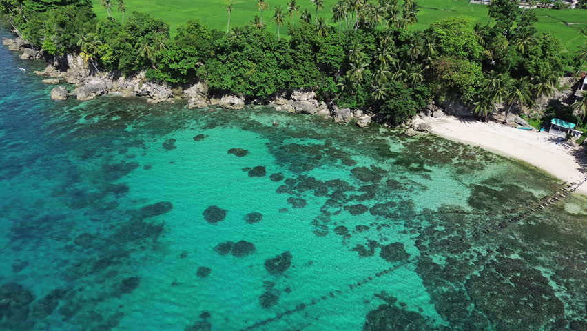 Tropical beach with clear turquoise sea water and lush green palm trees on sunny day, vacation and travel, 4k