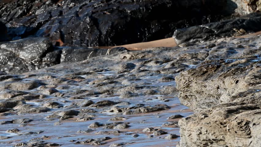Sea waves washing over a rocky shoreline with foamy water moving between the stones in Portugal. Close detail of water motion, natural coastline texture and coastal environment