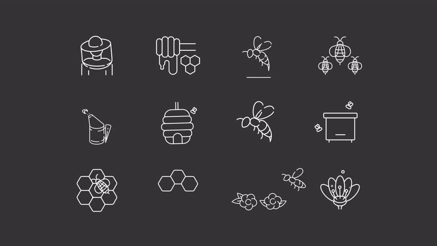 Animated beekeeping and honey white line icons. Apiculture business animation set. Protecting bees population. Agriculture industry. Isolated elements on dark background. Alpha channel HD video