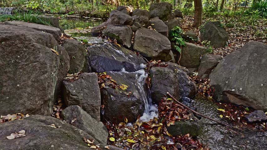 Water flows over a deliberate arrangement of large rocks, creating a small cascade in a forested, natural setting.