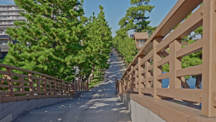 Interior view from the top of Yatate Bridge, looking down the path framed by wooden railings and pine trees.