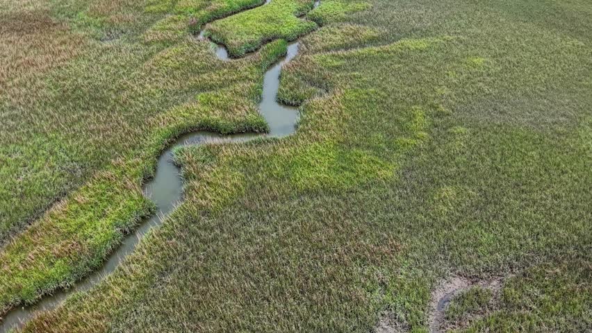 Aerial drone shot follows a winding creek cutting through green marshland in Charleston, showing patterns of water channels and wetlands.