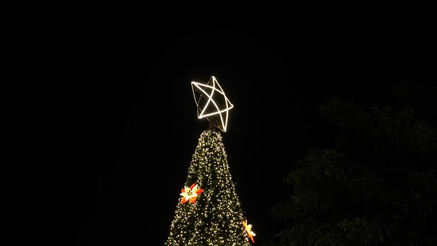 A classic outdoor Christmas tree silhouette at night, heavily decorated with white fairy lights and a large, bright star-shaped light on top.