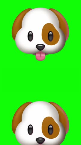 Dog puppy cartoon face green screen.