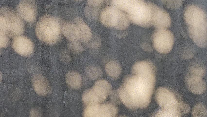 Beautiful tree leaves shape gentle sunlight, shadows glowing on concrete rock wall texture in the afternoon background—dappled light flickering in calm and relaxing atmosphere, peace zen mind feelings