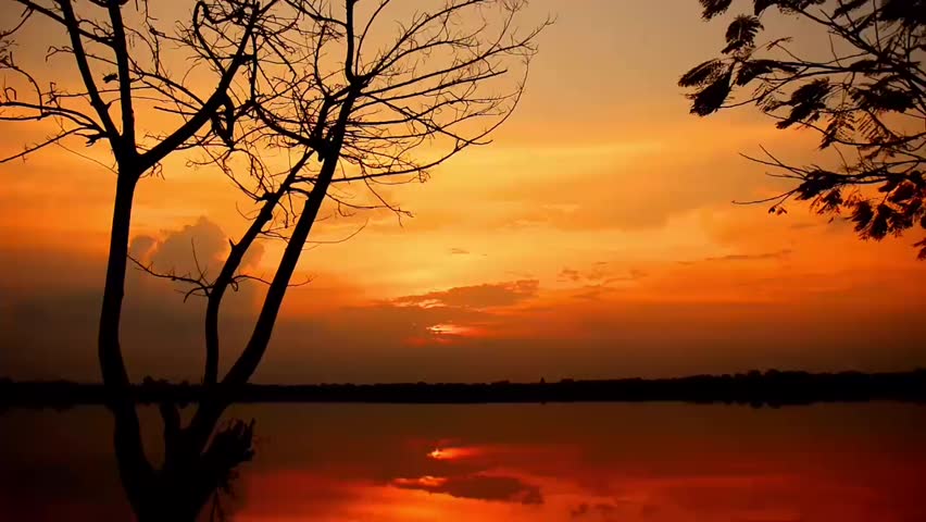 Fiery Orange Sunset Reflection on Calm Lake with Tree Silhouettes