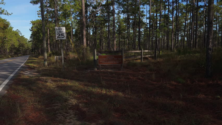 Low aerial approach below pine forest canopy to entrance sign for Blackwater River State Park, Florida wilderness
