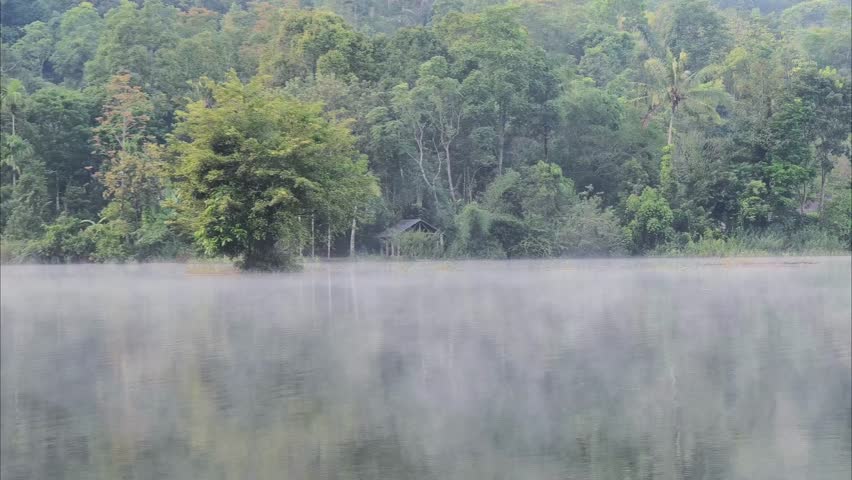 foggy morning in the lake in the forest