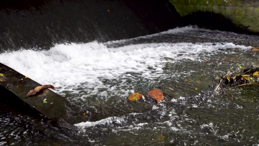 Close up of clear river water flowing rapidly over a small concrete dam structure. Fresh stream current creating white foam and bubbles with fallen leaves. Concept of water management and irrigation.