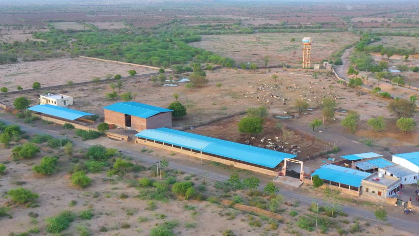 Aerial view of livestock farm with blue-roofed barns, grazing cattle, water tower, and dry land in Rajasthan village.