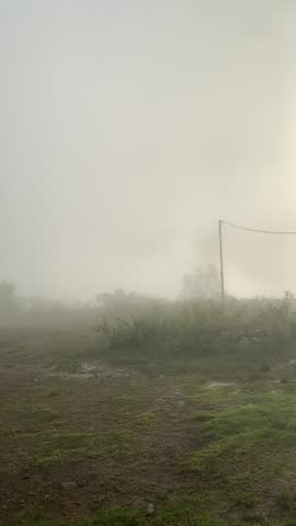 A tiny house isolated in the midst of a very foggy morning. A perfectly round beam of sunlight penetrates the thick fog, casting a dramatic and melancholic glow over the building. Below, a wetland are